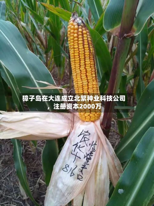 獐子岛在大连成立北繁种业科技公司，注册资本2000万-第3张图片