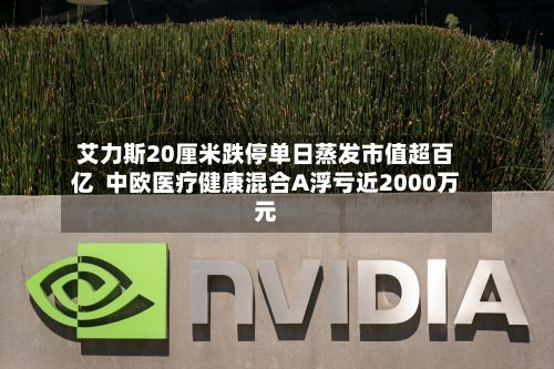 艾力斯20厘米跌停单日蒸发市值超百亿 中欧医疗健康混合A浮亏近2000万元-第3张图片