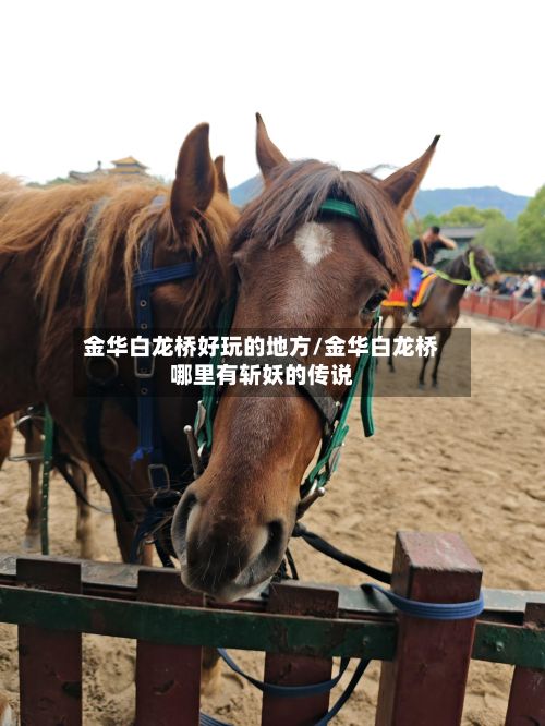 金华白龙桥好玩的地方/金华白龙桥哪里有斩妖的传说-第3张图片