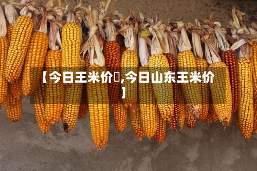 【今日王米价栘,今日山东王米价】