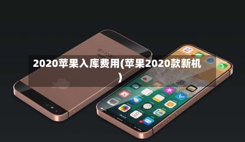 2020苹果入库费用(苹果2020款新机)-第3张图片