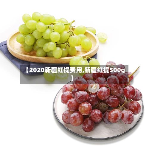 【2020新疆红提费用,新疆红提500g】