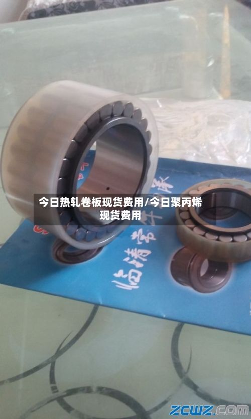 今日热轧卷板现货费用/今日聚丙烯现货费用-第3张图片