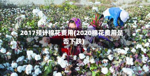 2017预计棉花费用(2020棉花费用是否下跌)
