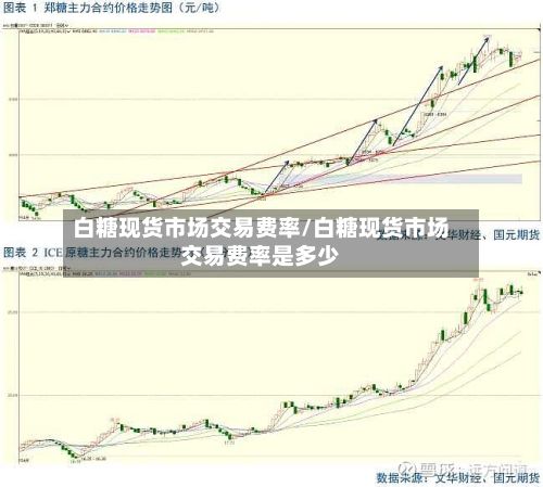 白糖现货市场交易费率/白糖现货市场交易费率是多少