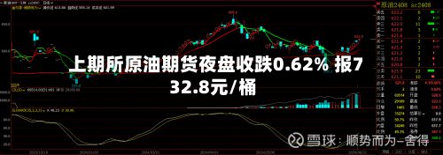 上期所原油期货夜盘收跌0.62% 报732.8元/桶