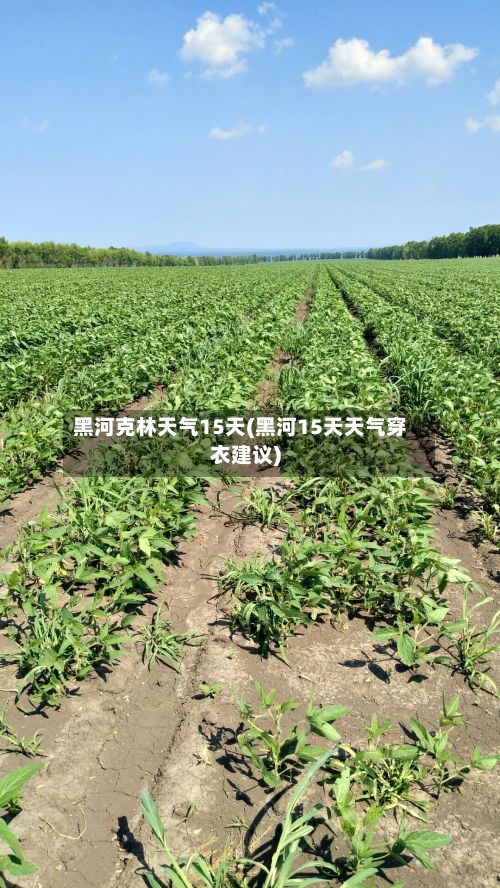 黑河克林天气15天(黑河15天天气穿衣建议)-第3张图片