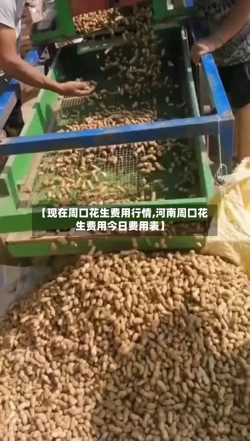 【现在周口花生费用行情,河南周口花生费用今日费用表】