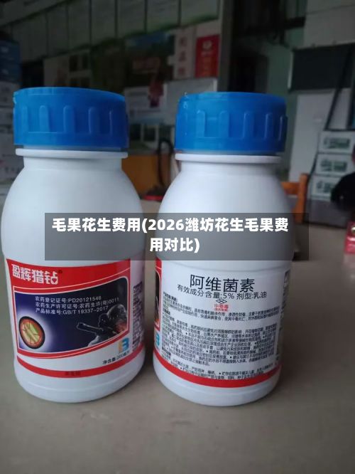毛果花生费用(2026潍坊花生毛果费用对比)-第3张图片