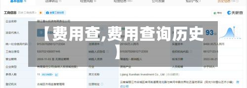 【费用查,费用查询历史】