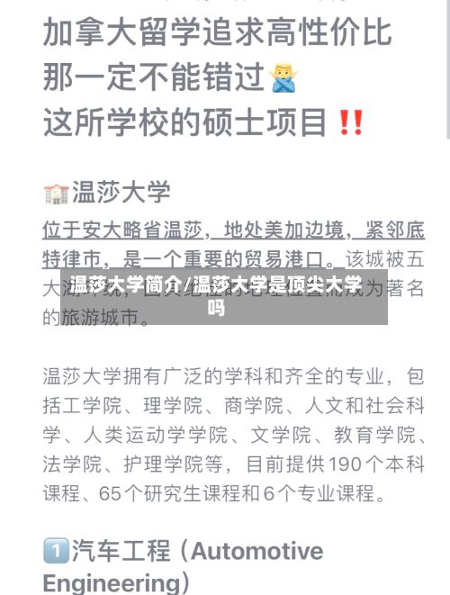 温莎大学简介/温莎大学是顶尖大学吗-第3张图片