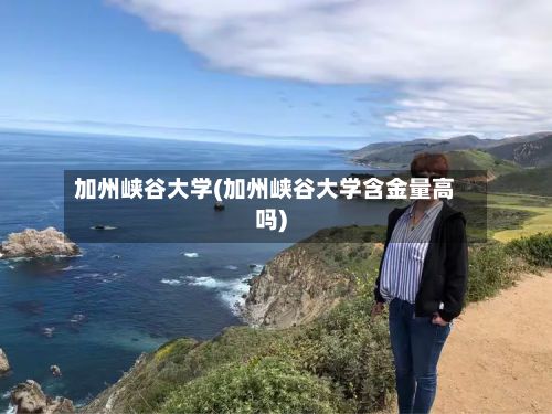 加州峡谷大学(加州峡谷大学含金量高吗)