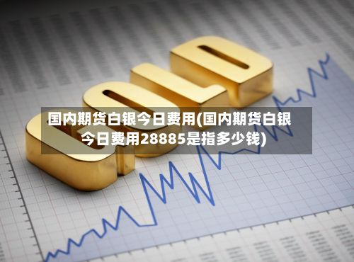 国内期货白银今日费用(国内期货白银今日费用28885是指多少钱)
