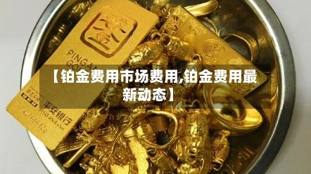 【铂金费用市场费用,铂金费用最新动态】
