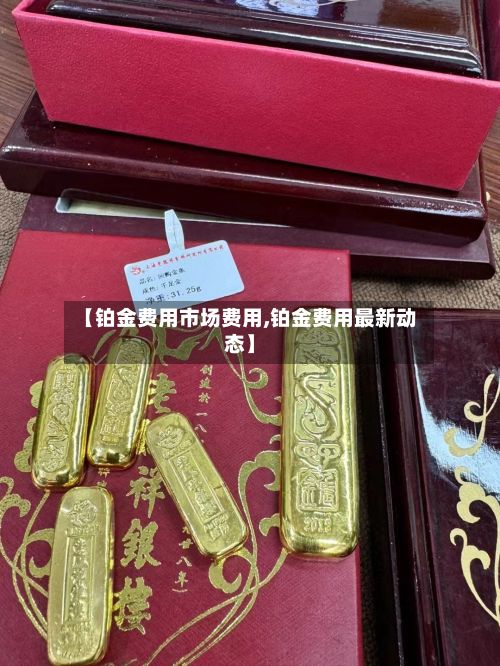 【铂金费用市场费用,铂金费用最新动态】-第2张图片