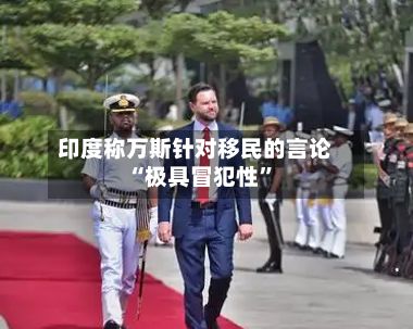印度称万斯针对移民的言论“极具冒犯性	”-第1张图片