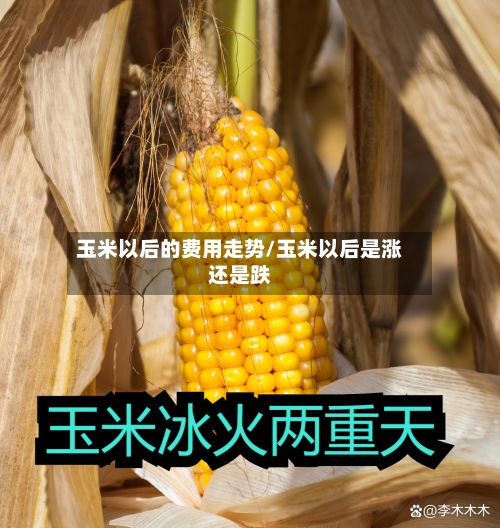 玉米以后的费用走势/玉米以后是涨还是跌-第2张图片