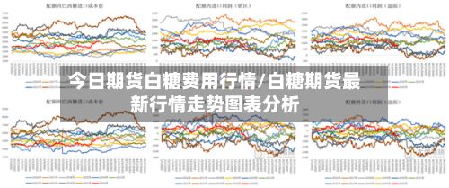 今日期货白糖费用行情/白糖期货最新行情走势图表分析