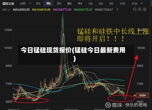 今日锰硅现货报价(锰硅今日最新费用)-第2张图片