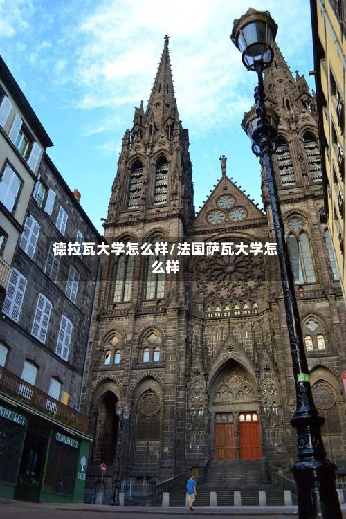 德拉瓦大学怎么样/法国萨瓦大学怎么样