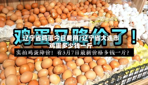 辽宁省鸡蛋今日费用/辽宁省大连市鸡蛋多少钱一斤-第2张图片