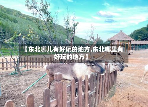 【东北哪儿有好玩的地方,东北哪里有好玩的地方】