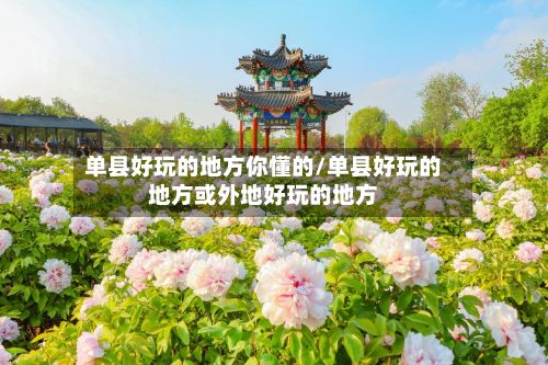 单县好玩的地方你懂的/单县好玩的地方或外地好玩的地方-第2张图片