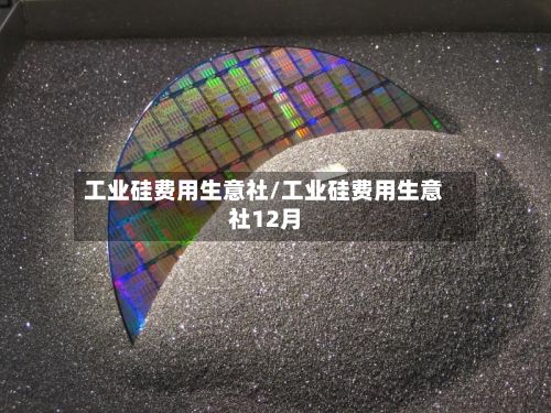 工业硅费用生意社/工业硅费用生意社12月-第3张图片