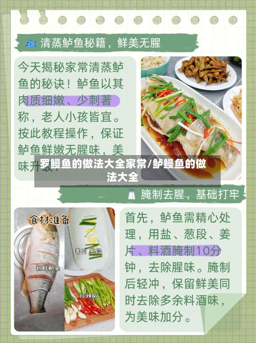 罗鳗鱼的做法大全家常/鲈鳗鱼的做法大全