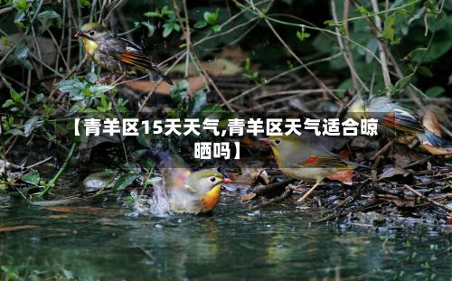 【青羊区15天天气,青羊区天气适合晾晒吗】