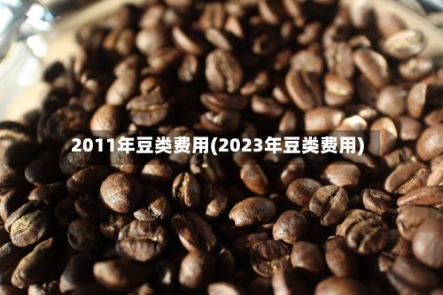 2011年豆类费用(2023年豆类费用)