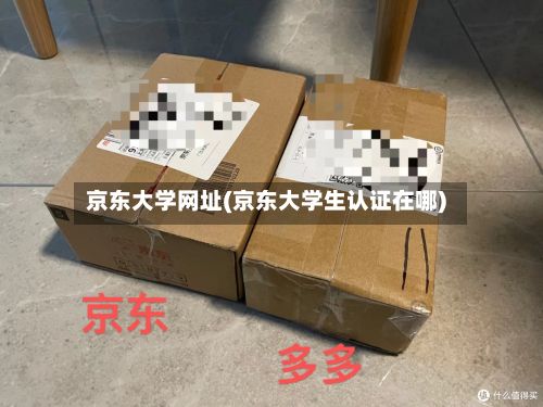 京东大学网址(京东大学生认证在哪)