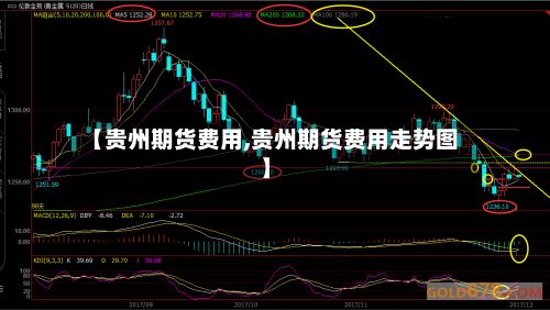 【贵州期货费用,贵州期货费用走势图】-第2张图片