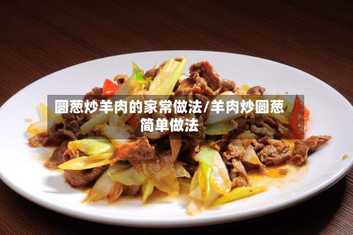 圆葱炒羊肉的家常做法/羊肉炒圆葱简单做法