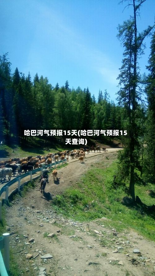 哈巴河气预报15天(哈巴河气预报15天查询)