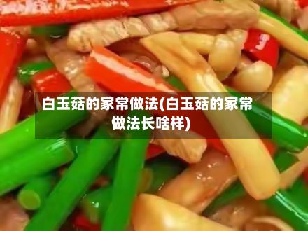 白玉菇的家常做法(白玉菇的家常做法长啥样)-第2张图片