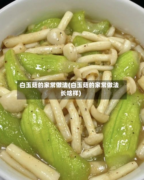 白玉菇的家常做法(白玉菇的家常做法长啥样)