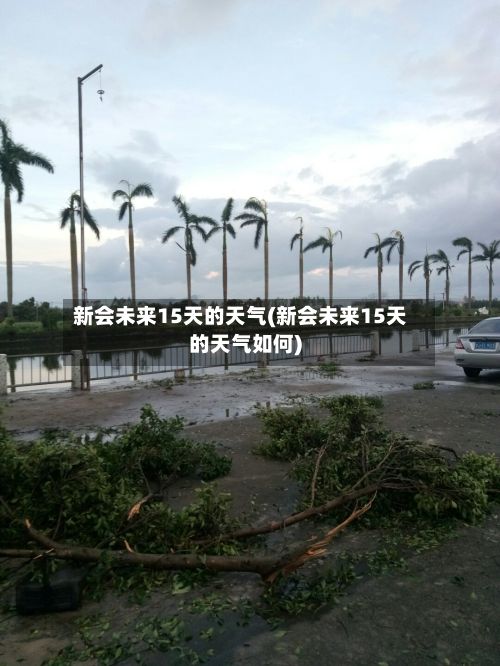 新会未来15天的天气(新会未来15天的天气如何)
