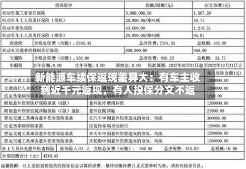 新能源车续保返现差异大：有车主收到近千元返现，有人投保分文不返-第2张图片