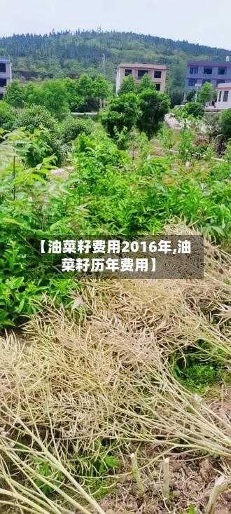 【油菜籽费用2016年,油菜籽历年费用】