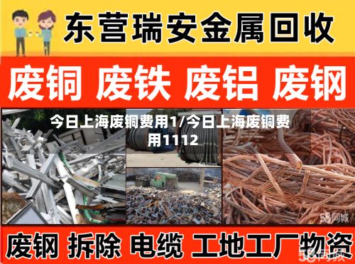 今日上海废铜费用1/今日上海废铜费用1112-第2张图片