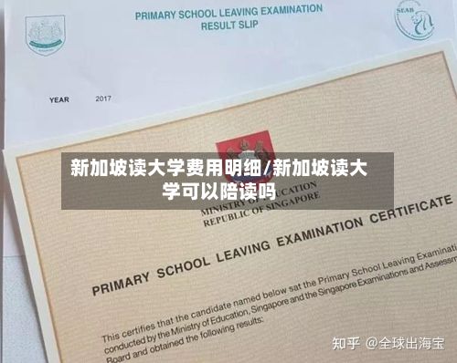 新加坡读大学费用明细/新加坡读大学可以陪读吗