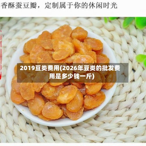 2019豆类费用(2026年豆类的批发费用是多少钱一斤)