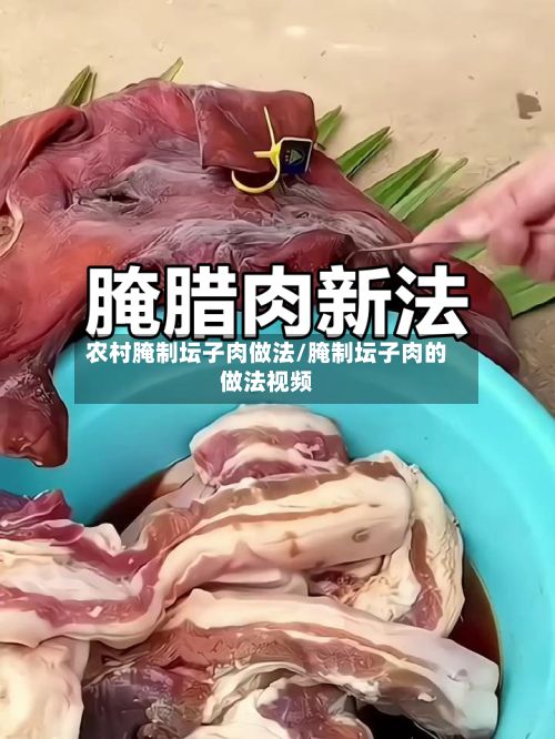 农村腌制坛子肉做法/腌制坛子肉的做法视频