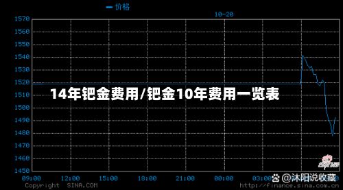 14年钯金费用/钯金10年费用一览表-第2张图片