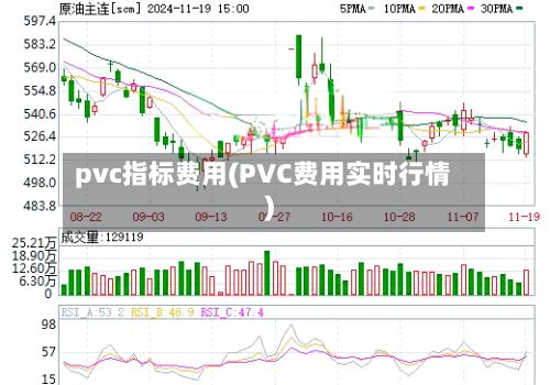 pvc指标费用(PVC费用实时行情)