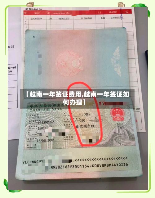 【越南一年签证费用,越南一年签证如何办理】-第3张图片