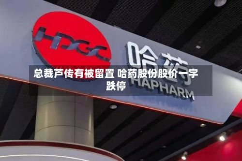 总裁芦传有被留置 哈药股份股价一字跌停