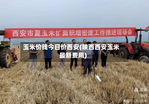 玉米价钱今日价西安(陕西西安玉米最新费用)-第3张图片