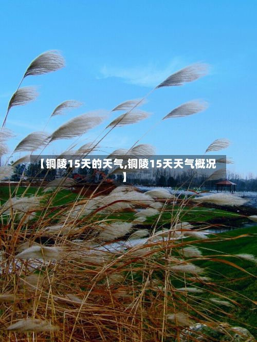 【铜陵15天的天气,铜陵15天天气概况】-第2张图片